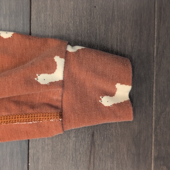 HannaSoft Hanna Andersson 12-18 Month Sleeper - Picture 7 of 8